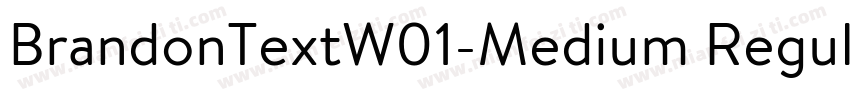 BrandonTextW01-Medium Regular字体转换